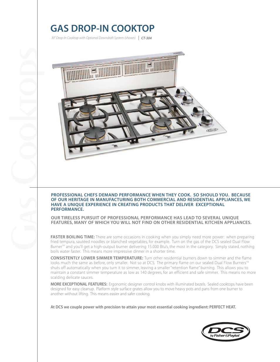 DCS CT-304 User Manual | 2 pages