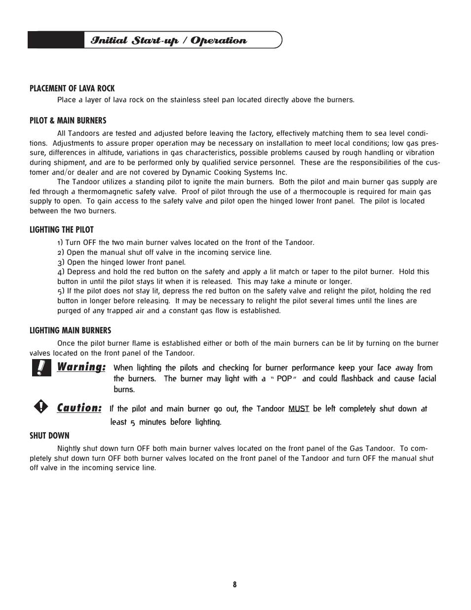 Initial start-up / operation, Warning, Caution | DCS -CGT User Manual | Page 9 / 14