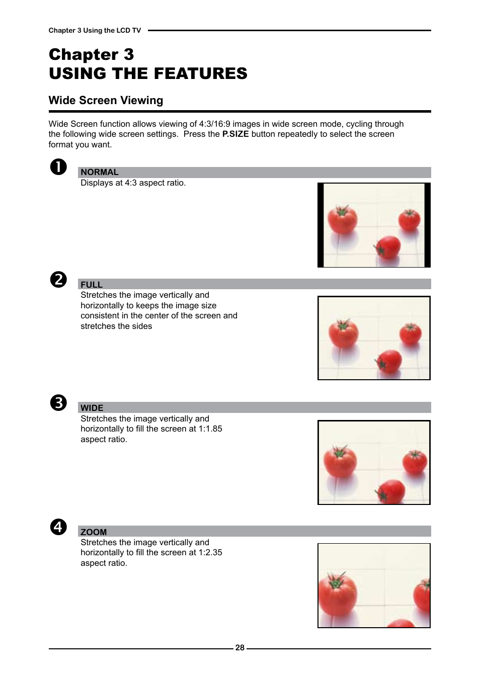 Chapter 3 using the features | Dolby Laboratories Flat Panel Television User Manual | Page 30 / 44