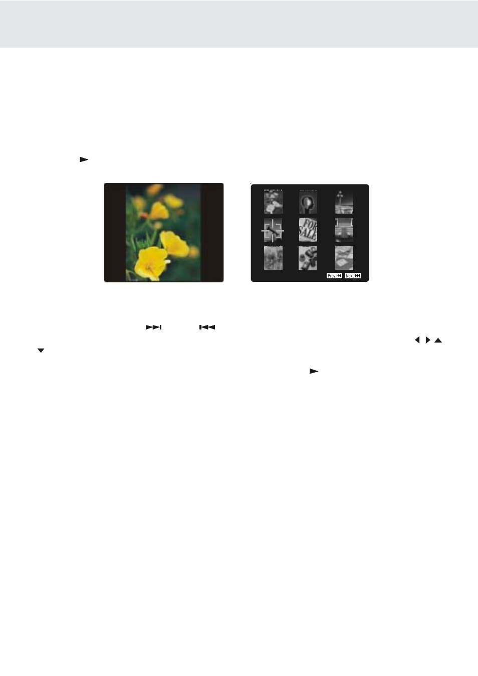 Playing picture file disc, Playing a picture file disc | Dolby Laboratories PVS177SG User Manual | Page 24 / 32