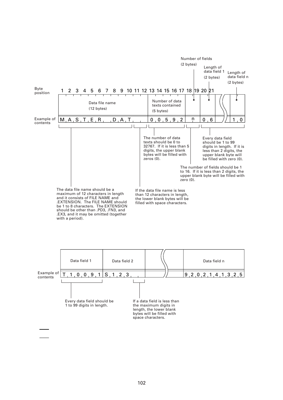 Data text format | Denso BHT-6000 User Manual | Page 117 / 178