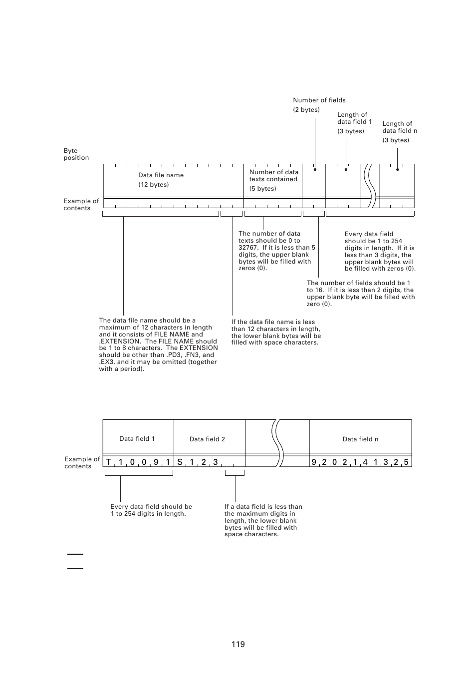 Data text format | Denso BHT-6000 User Manual | Page 134 / 178