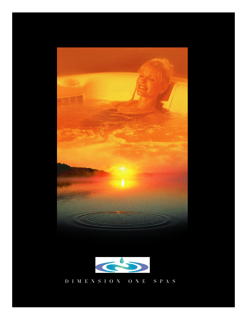 Dimension One Spas 2000 Model User Manual | 50 pages