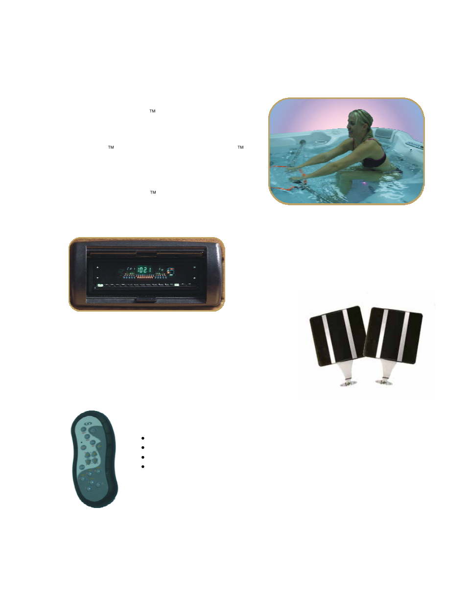 Sonic immersion system (sis) (optional), D1 remote control (optional) | Dimension One Spas Bay Collection User Manual | Page 29 / 72