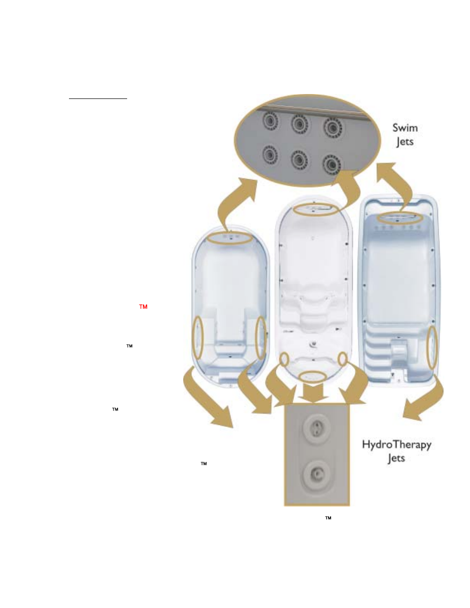 Aquatic fitness system features, Hydrotherapy jets, Swim jets | Hydrosport( aquatic fitness gear, Hydrosport  aquatic fitness gear | Dimension One Spas AQUATIC FITNESS SYSTEM 2003 User Manual | Page 11 / 44