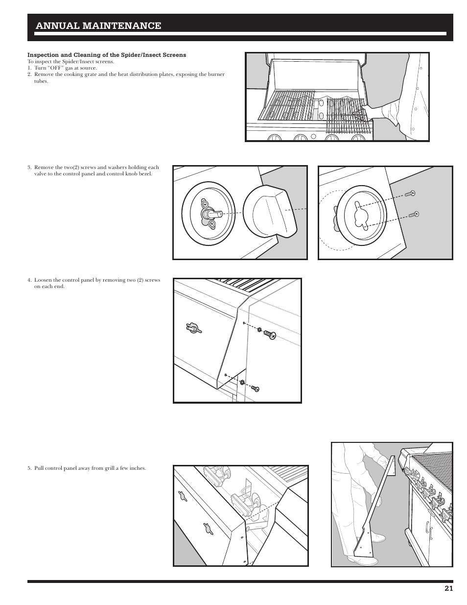 Annual maintenance | Ducane 3200 User Manual | Page 21 / 56