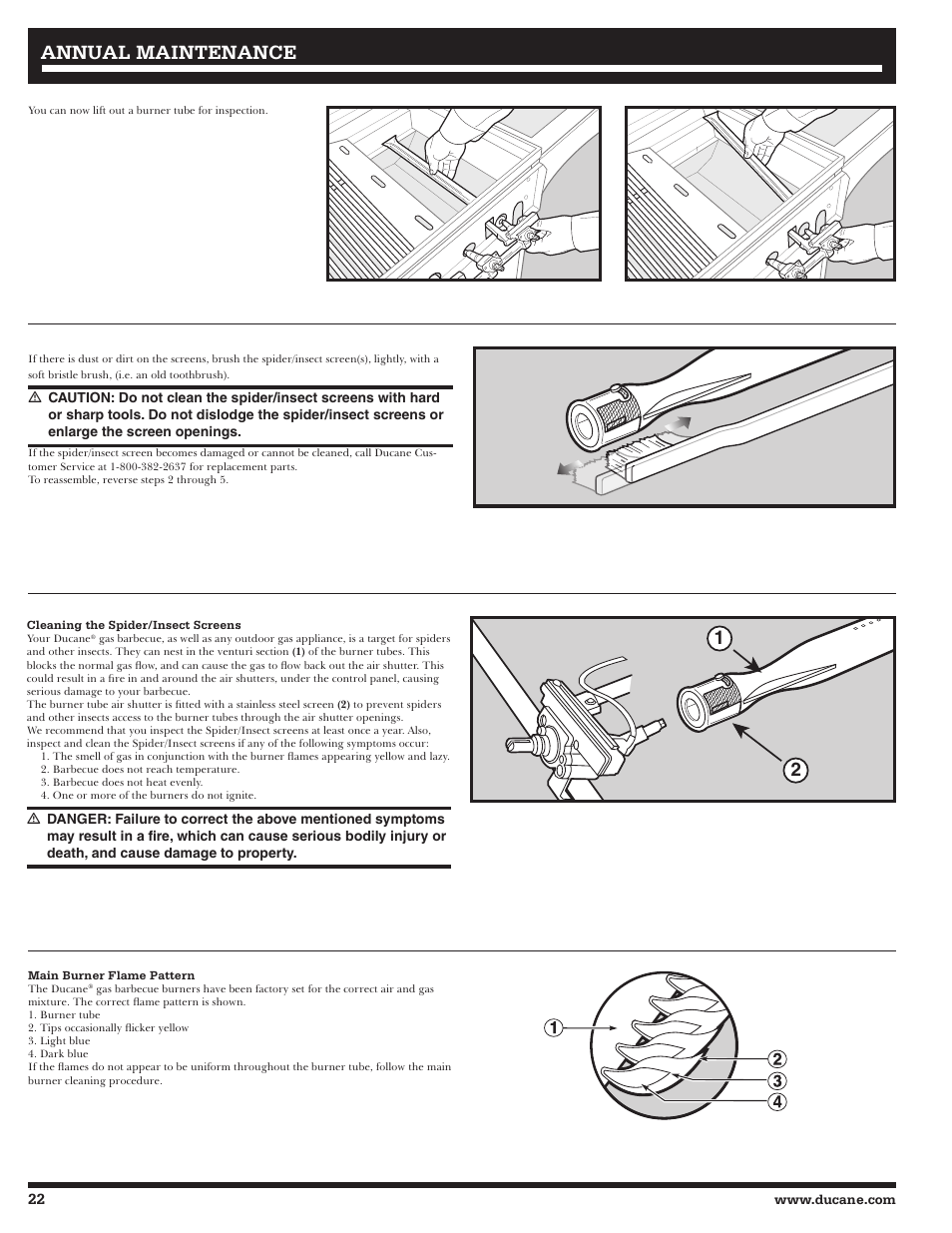 Annual maintenance | Ducane 3200 User Manual | Page 22 / 56