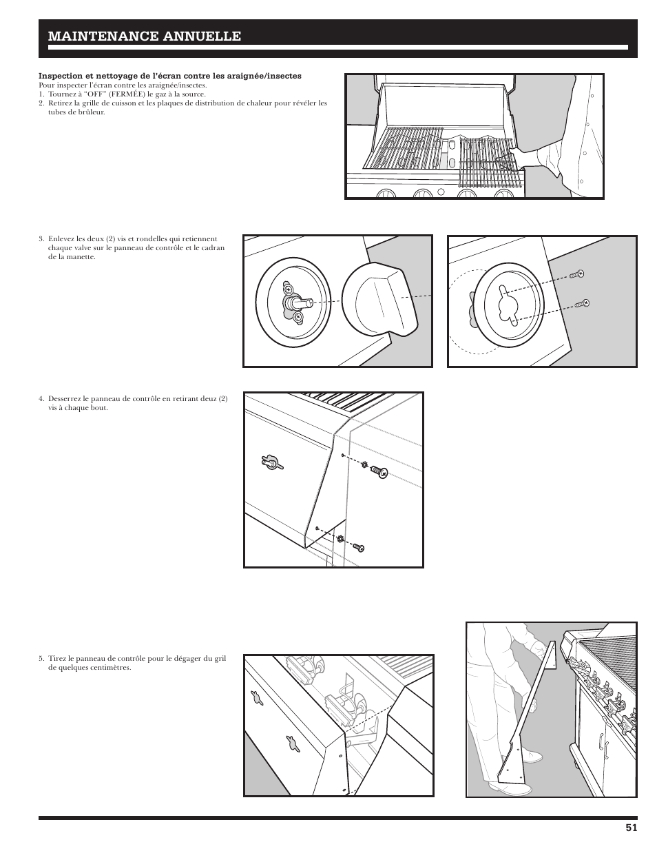 Maintenance annuelle | Ducane 3200 User Manual | Page 51 / 56