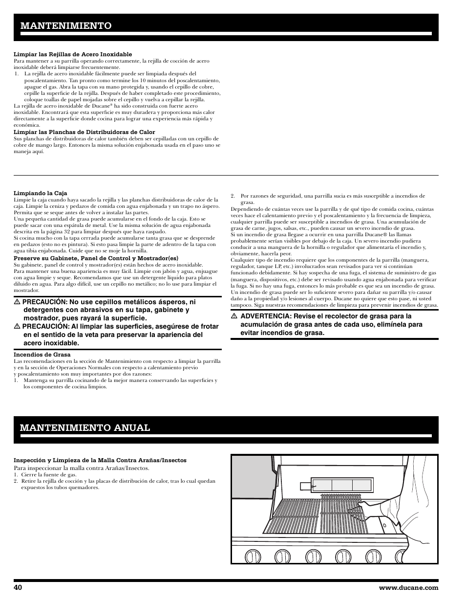 Mantenimiento, Mantenimiento anual | Ducane 2020805 User Manual | Page 40 / 68