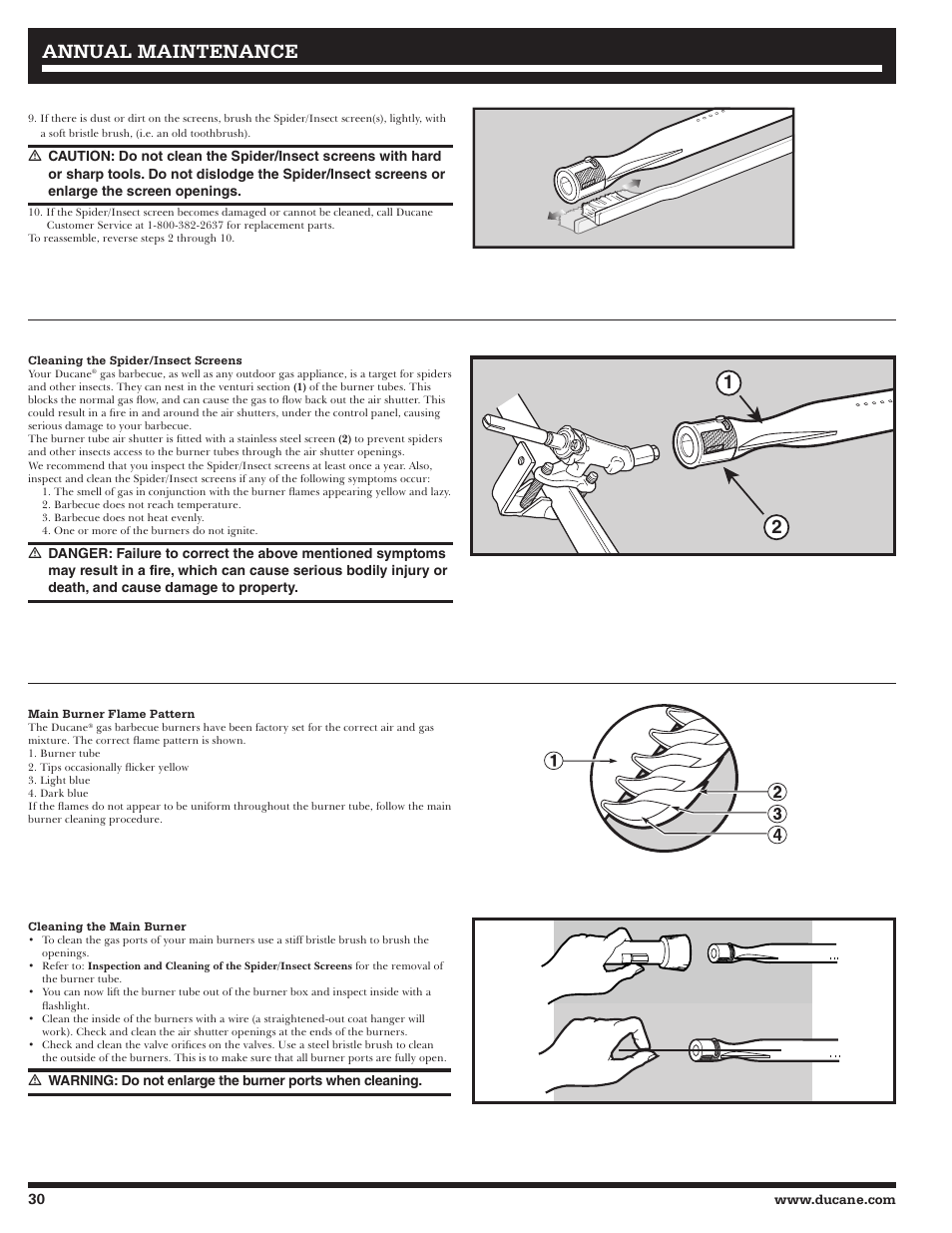 Annual maintenance | Ducane Affinity LP 3400 User Manual | Page 30 / 72