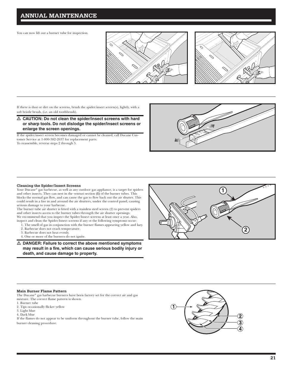 Annual maintenance | Ducane 20529917 User Manual | Page 21 / 56