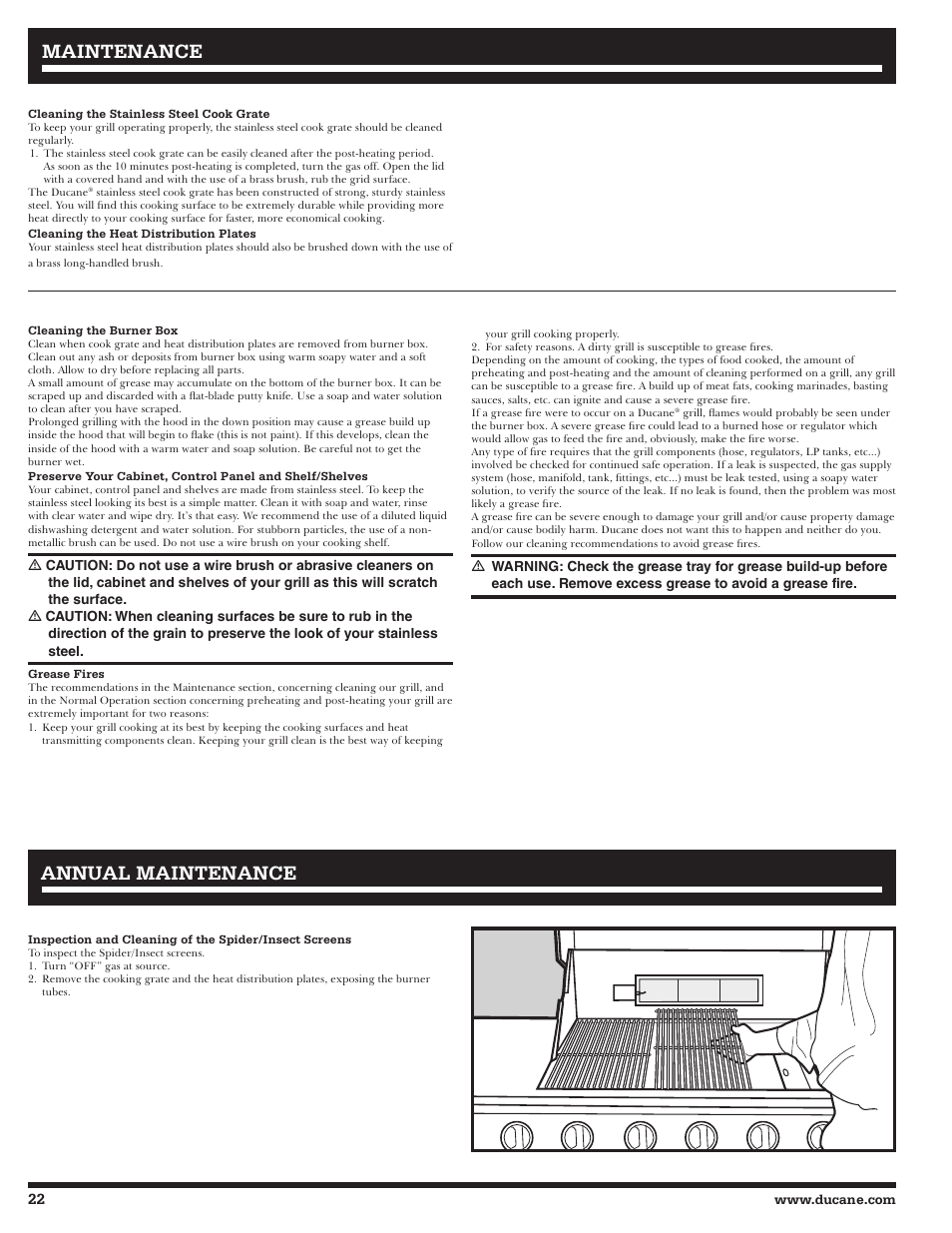 Annual maintenance, Maintenance | Ducane 2020806 User Manual | Page 22 / 64