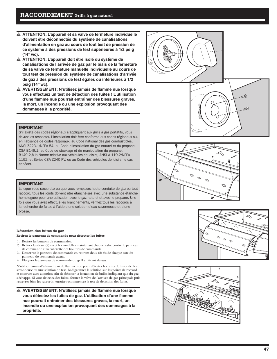 Raccordement | Ducane Affinity 31-3200 User Manual | Page 47 / 60