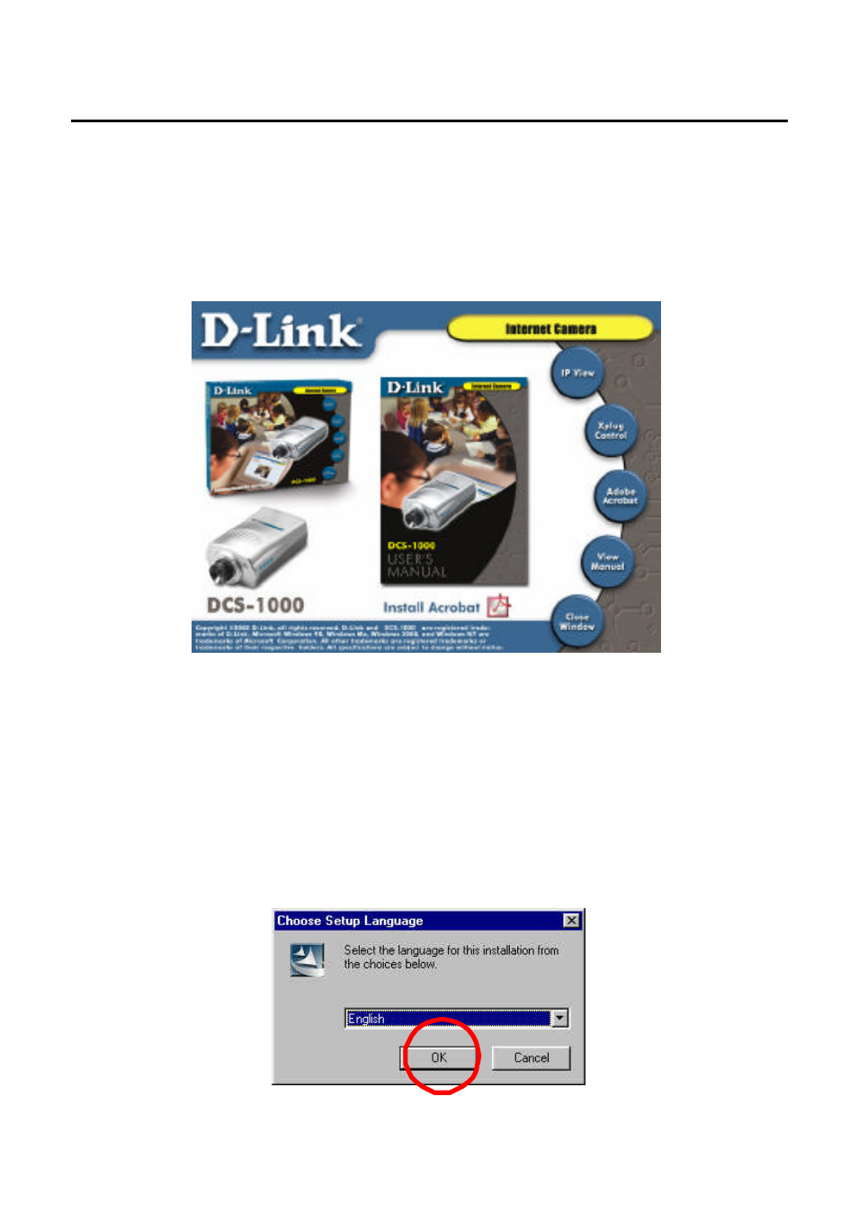 Ipview application installation, Installation | D-Link DCS-1000 User Manual | Page 31 / 83