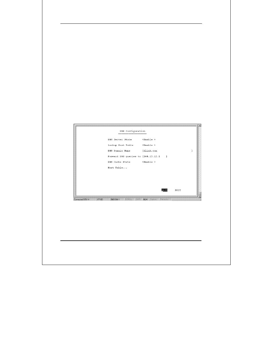 Dns configuration | D-Link DI-1162 User Manual | Page 101 / 170