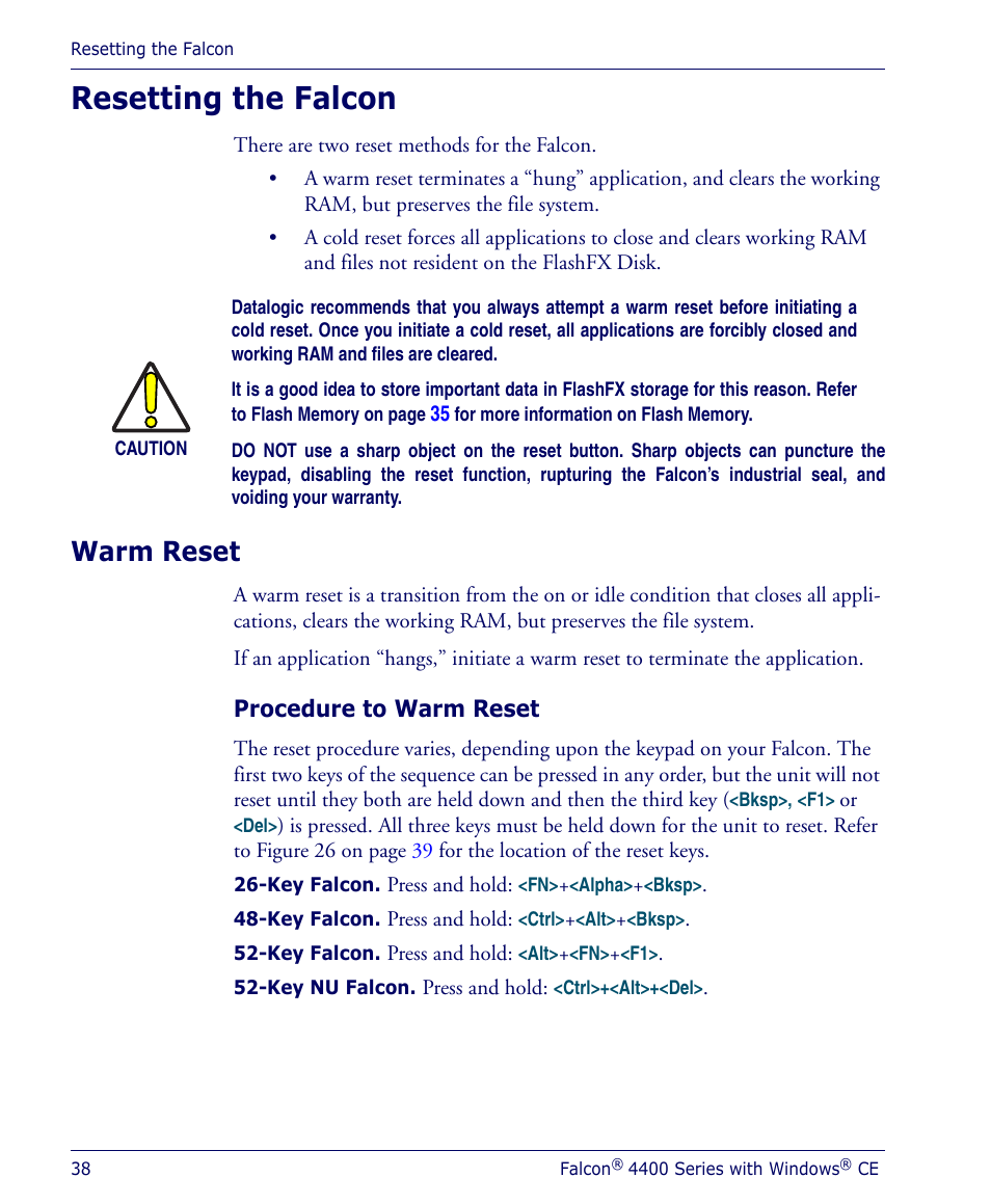 Resetting the falcon, Warm reset, Procedure to warm reset | Datalogic Scanning 4410 User Manual | Page 40 / 76