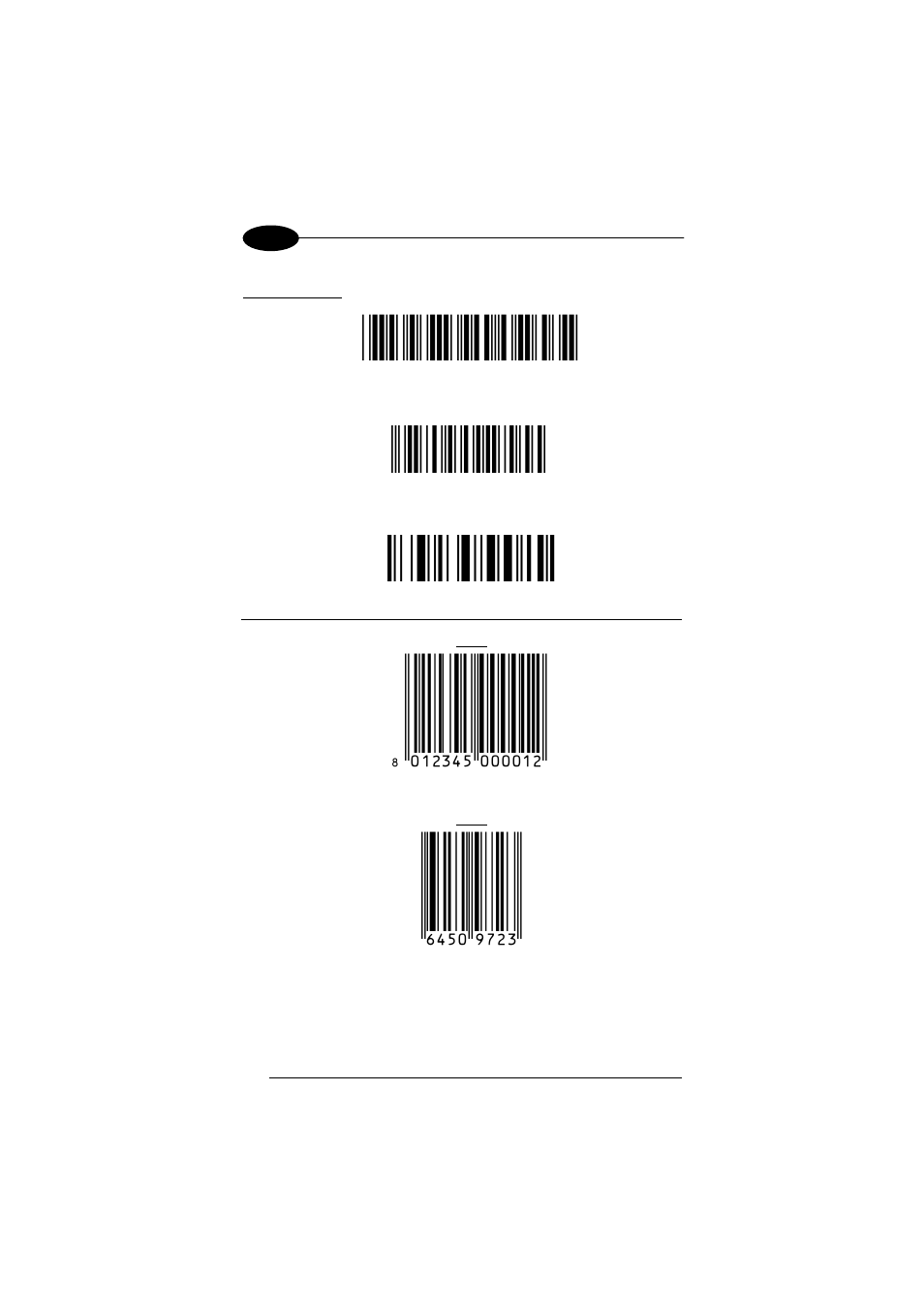 Ë"8nduì, Ìtestwî, 6450*trmn | Datalogic Scanning 00A0LS-1N1-MEN0 User Manual | Page 84 / 111