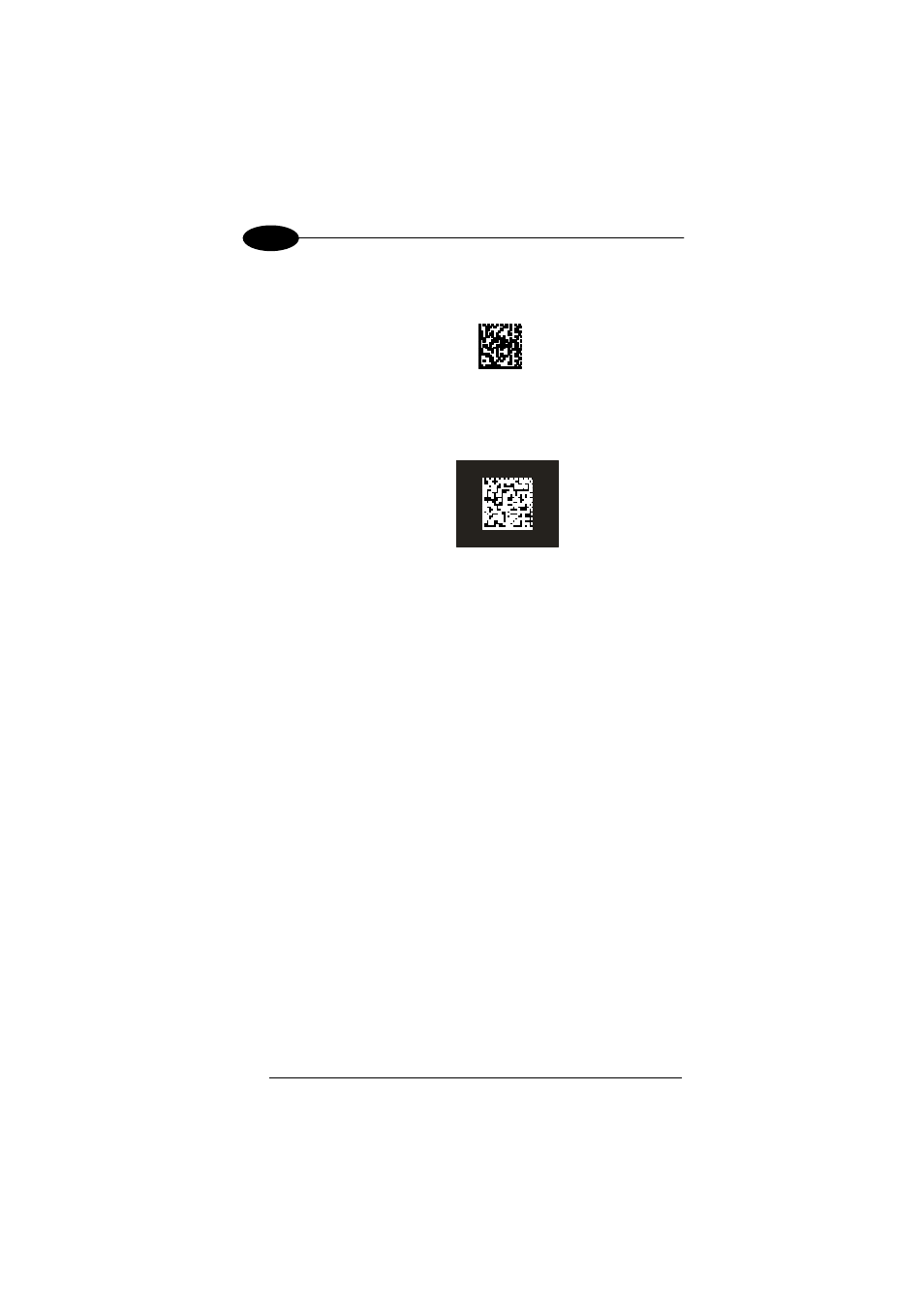 Datalogic Scanning 00A0LS-1N1-MEN0 User Manual | Page 86 / 111