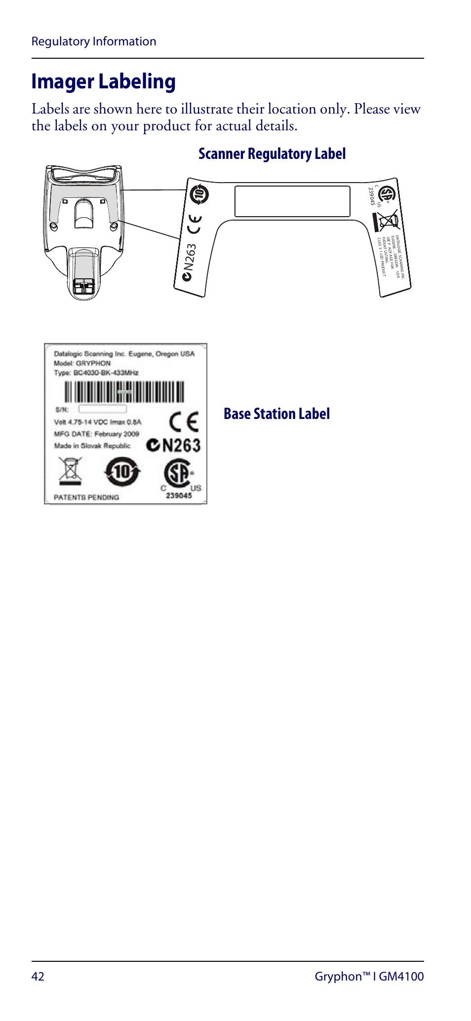 Imager labeling, Scanner regulatory label base station label, N263 | Datalogic Scanning GRYPHON GM4100 User Manual | Page 46 / 52