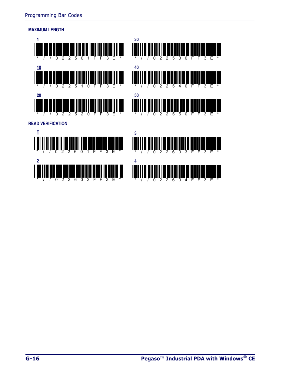 Datalogic Scanning Pegaso User Manual | Page 140 / 172