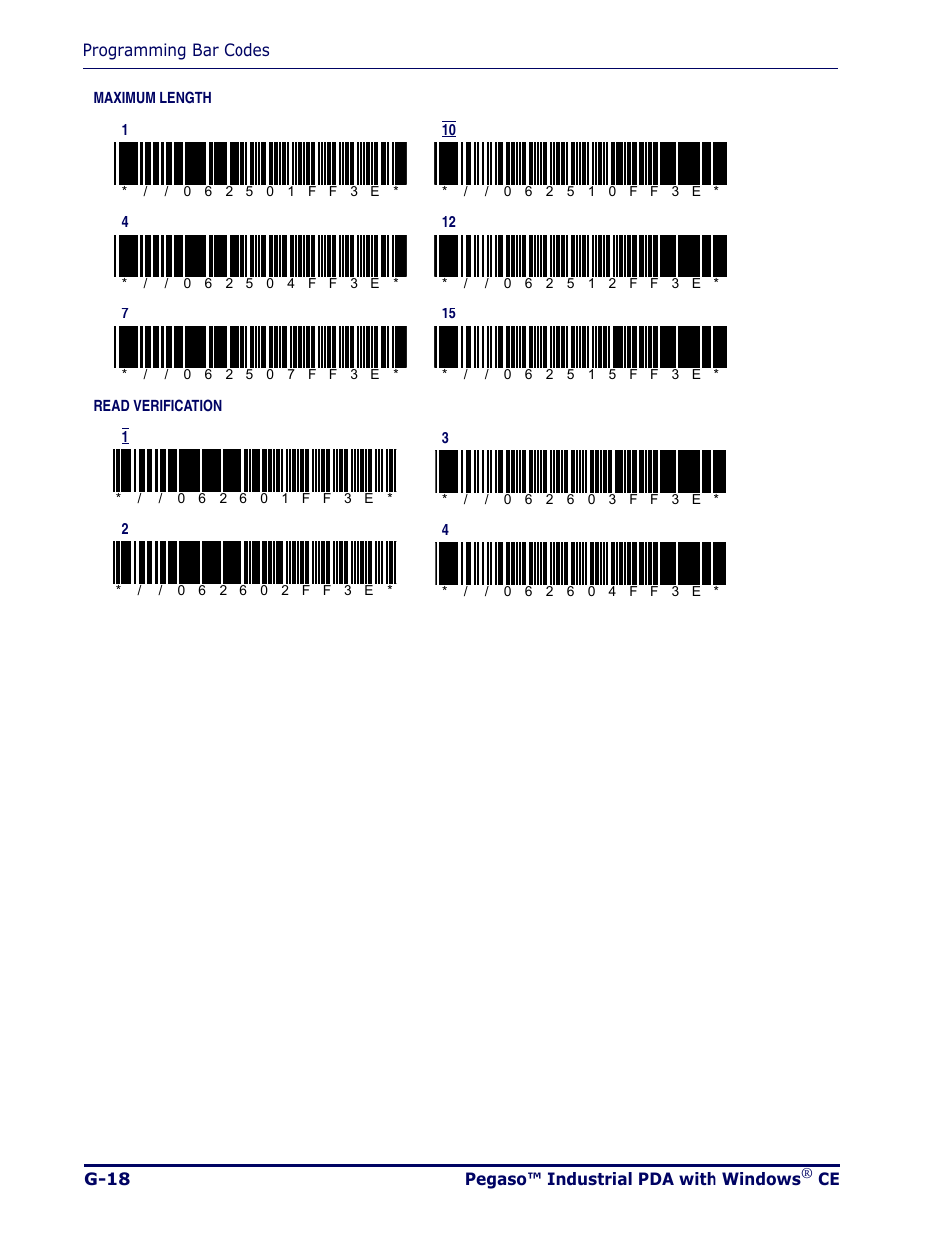 Datalogic Scanning Pegaso User Manual | Page 142 / 172