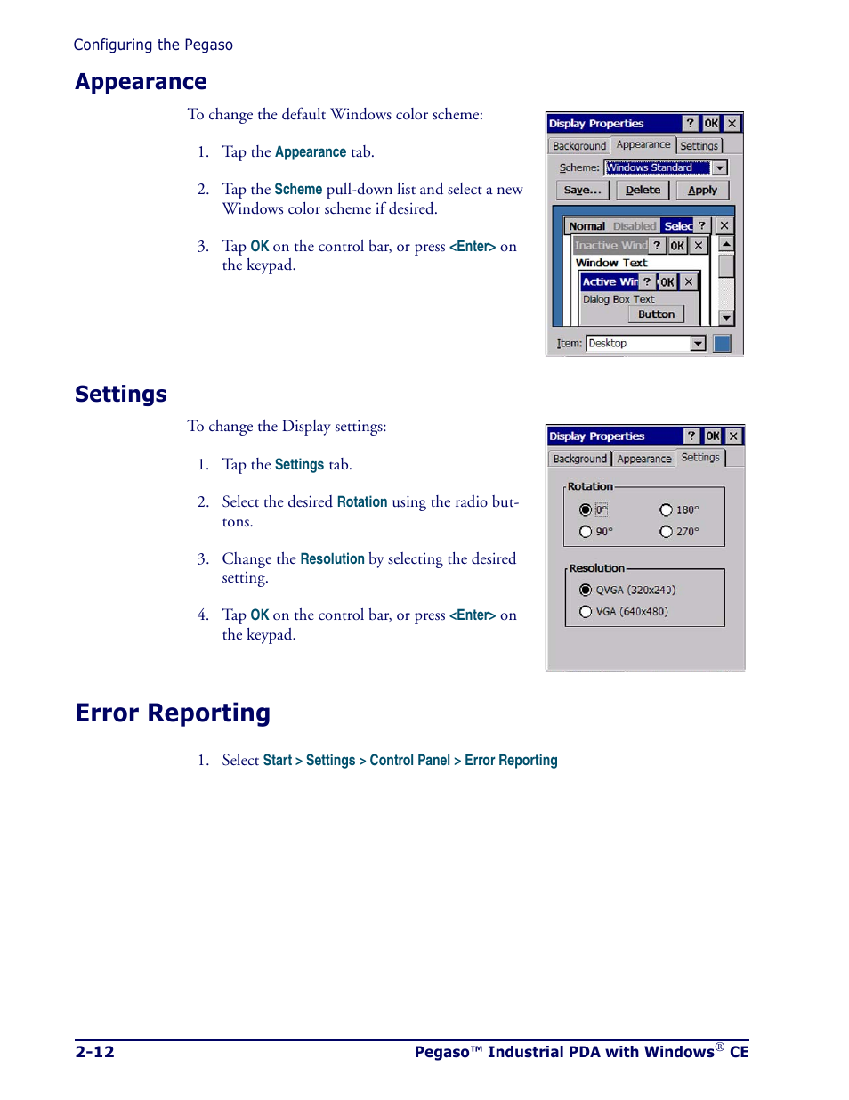 Appearance, Settings, Error reporting | Appearance -12 settings -12, Error reporting -12 | Datalogic Scanning Pegaso User Manual | Page 26 / 172