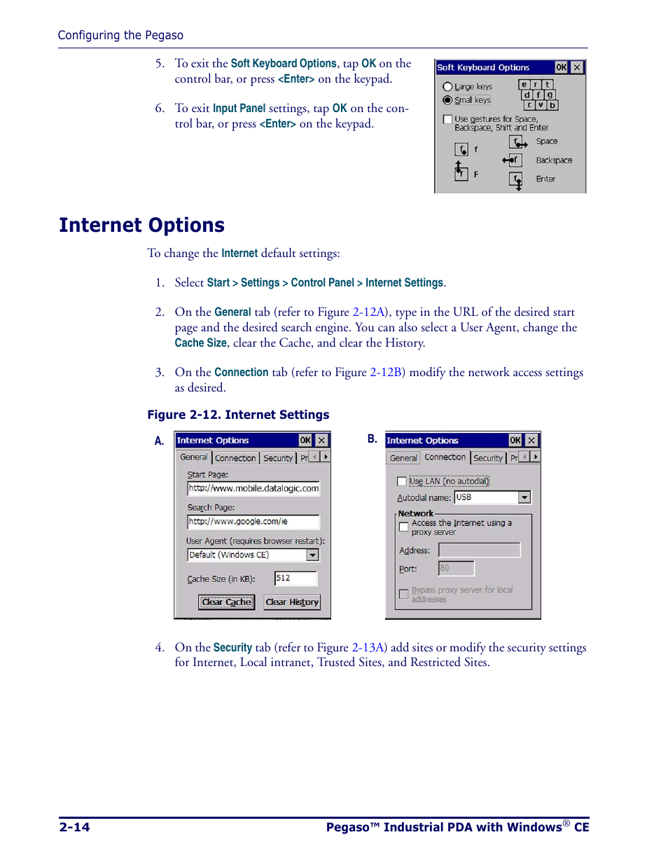 Internet options, Internet options -14 | Datalogic Scanning Pegaso User Manual | Page 28 / 172