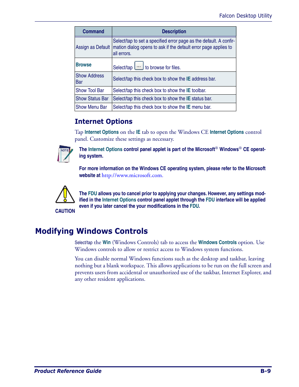 Modifying windows controls, Internet options | Datalogic Scanning Pegaso User Manual | Page 93 / 172