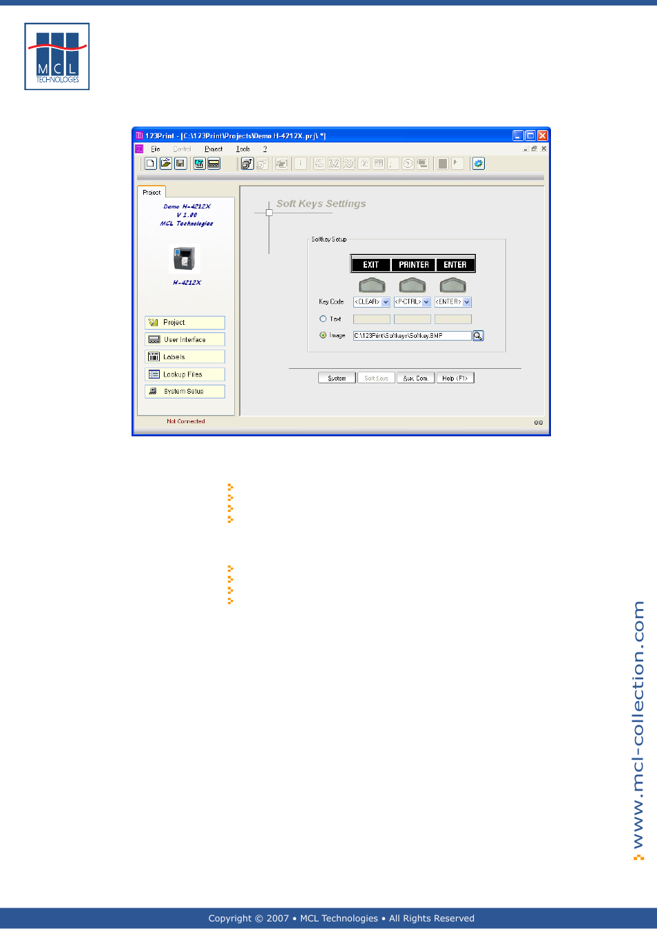 Graphical display – large screen, Graphical display – small screen | Datamax 123 Print v1.1x User Manual | Page 115 / 226