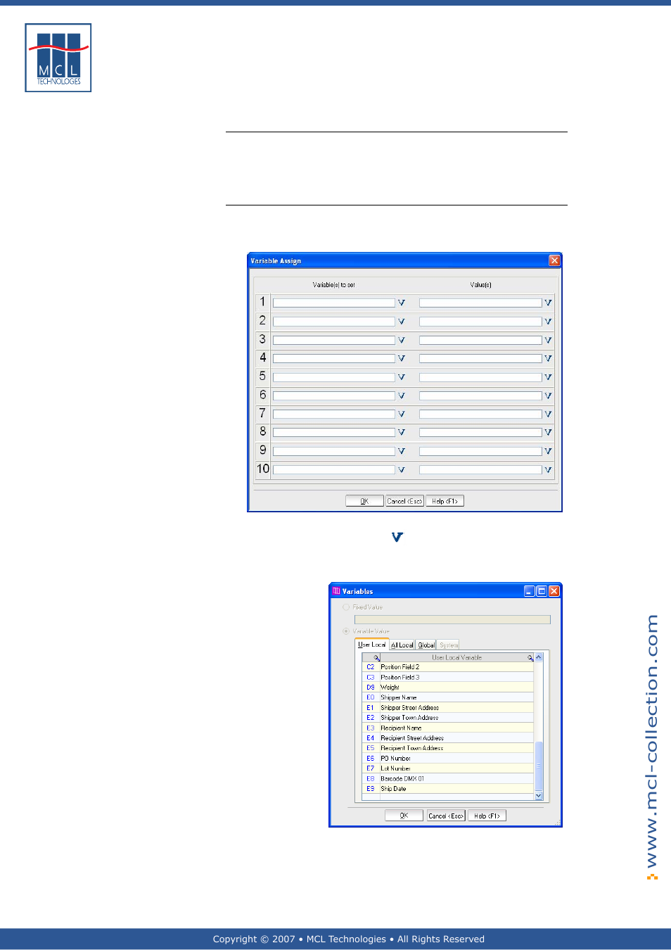 Variable assign, General introduction | Datamax 123 Print v1.1x User Manual | Page 160 / 226