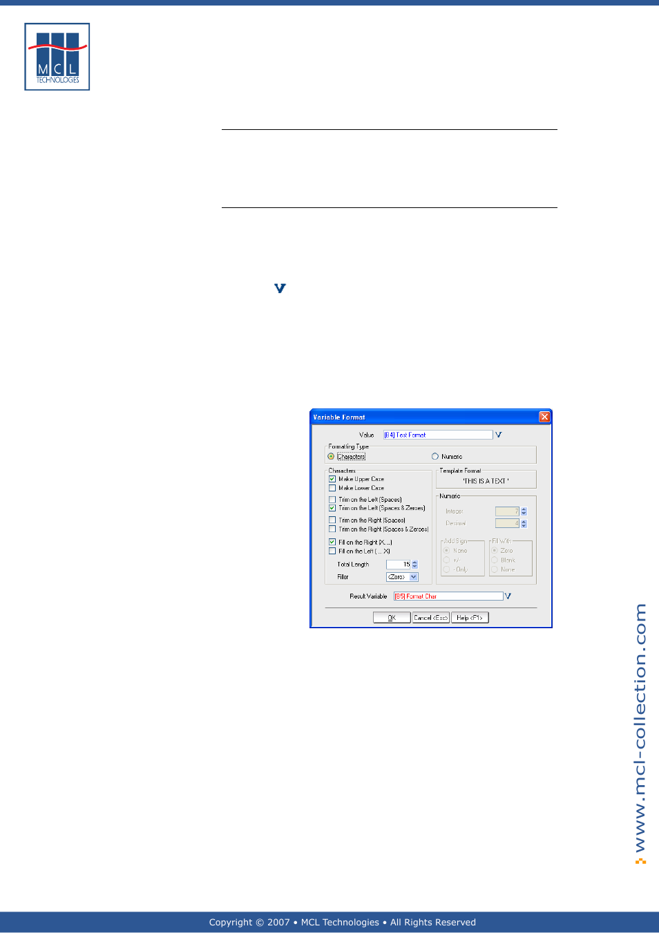Variable format, General introduction, Examples | Datamax 123 Print v1.1x User Manual | Page 165 / 226
