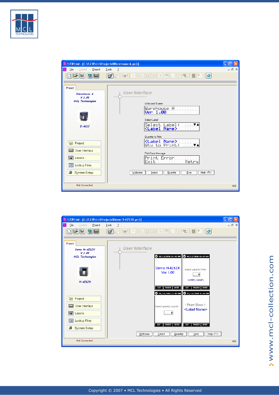 Text display, Graphical display - large | Datamax 123 Print v1.1x User Manual | Page 36 / 226