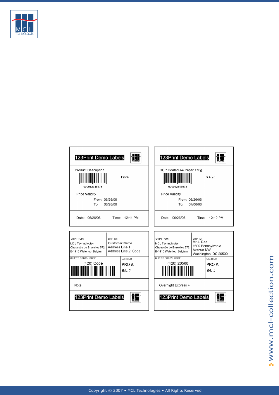 General introduction, Sample labels | Datamax 123 Print v1.1x User Manual | Page 7 / 226