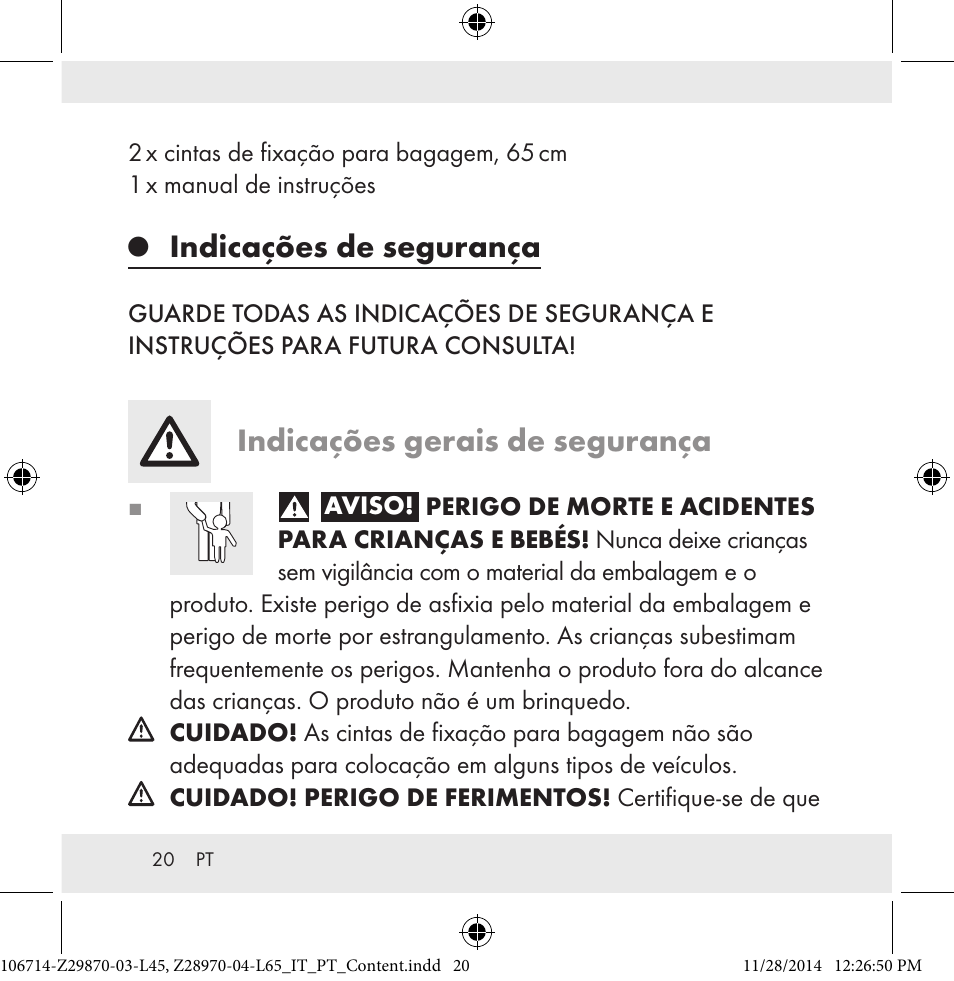 Indicações de segurança, Indicações gerais de segurança | Powerfix Z28970-03-L45 / Z28970-04-L65 User Manual | Page 20 / 38