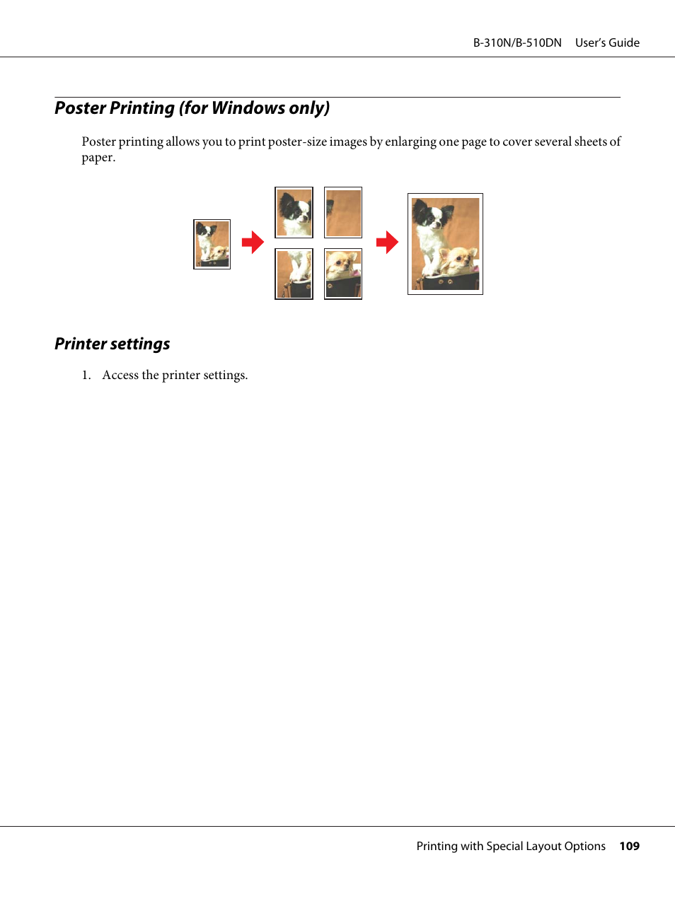 Poster printing (for windows only), Printer settings | Epson B 510DN User Manual | Page 109 / 218