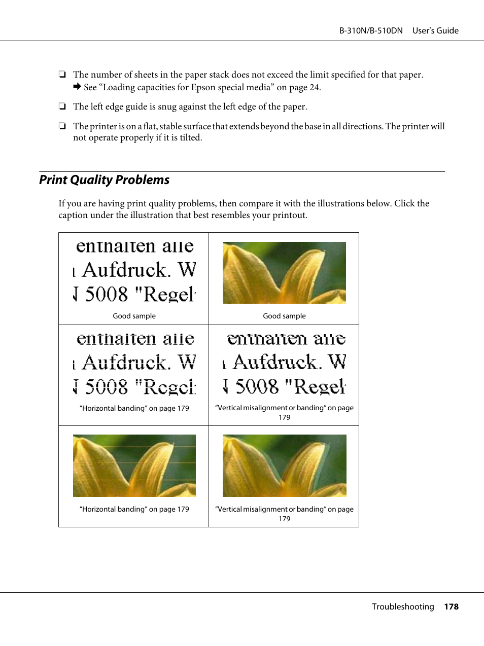 Print quality problems | Epson B 510DN User Manual | Page 178 / 218