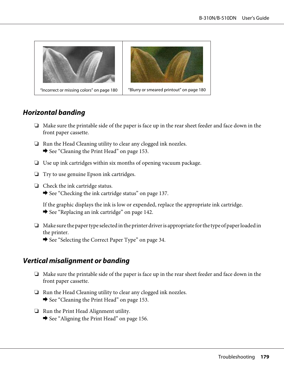 Horizontal banding, Vertical misalignment or banding | Epson B 510DN User Manual | Page 179 / 218