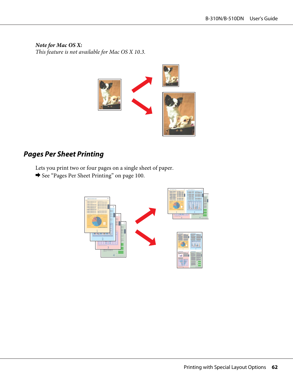 Pages per sheet printing | Epson B 510DN User Manual | Page 62 / 218