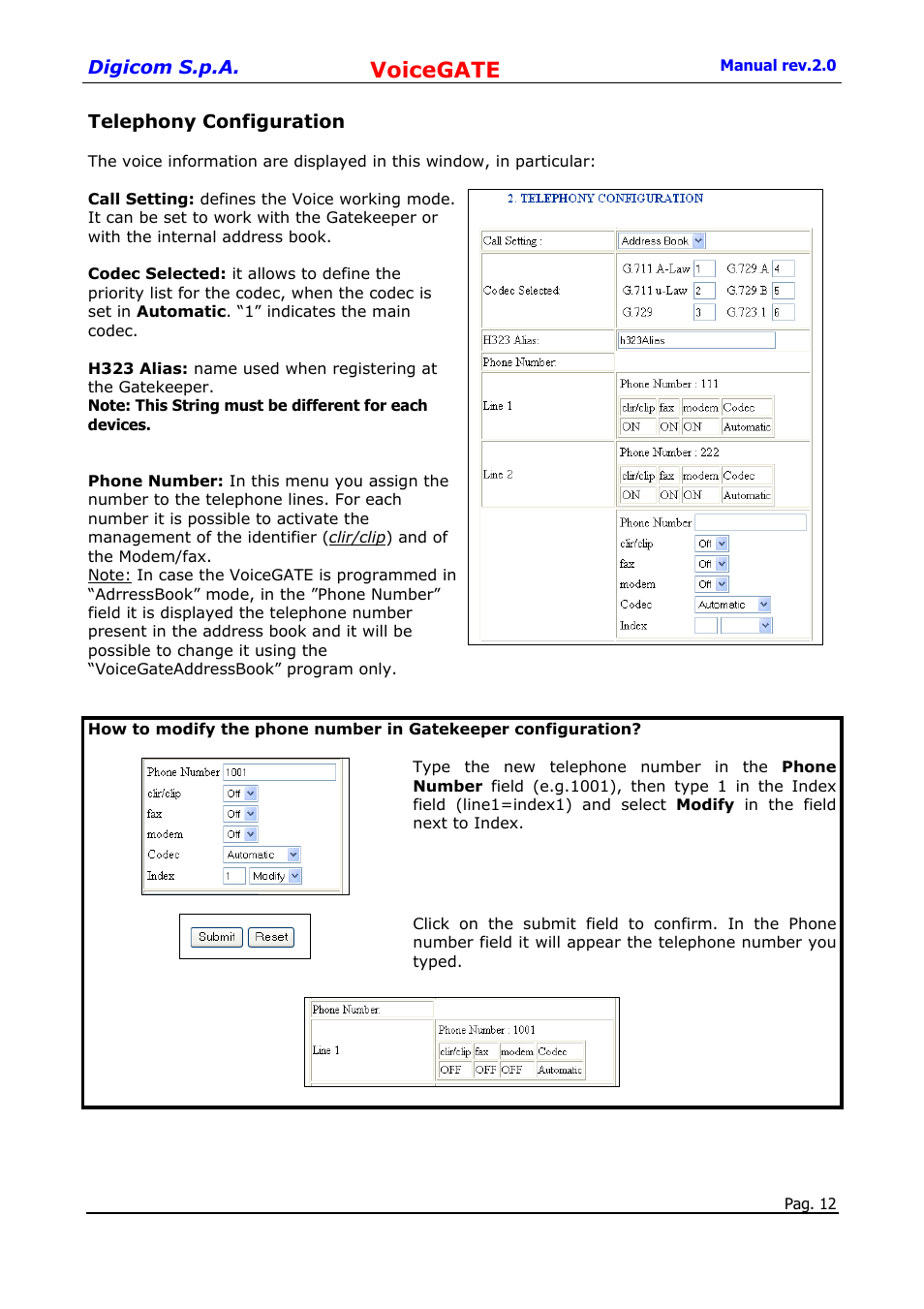 Telephony configuration, Voicegate | Digicom 8D5499 User Manual | Page 12 / 29