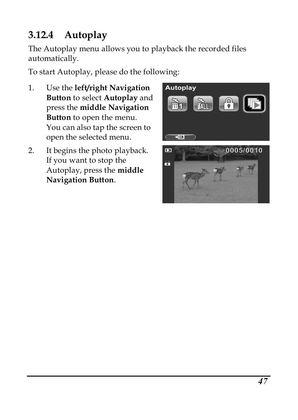 4 autoplay | PRAKTICA DVC5.6 User Manual | Page 56 / 65