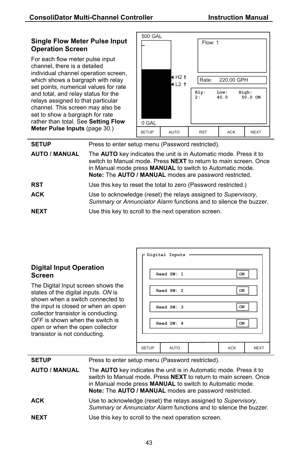 Single flow meter pulse input operation screen, Digital input operation screen | Precision Digital PD941 User Manual | Page 43 / 56