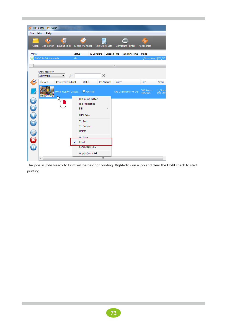 Oki ColorPainter E-64s User Manual | Page 73 / 146