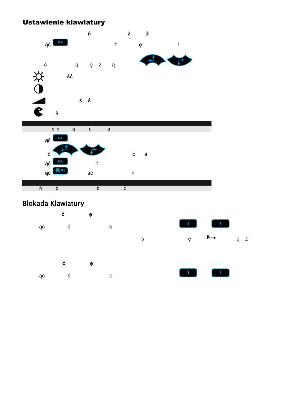 Ustawienie klawiatury, Blokada klawiatury | RISCO Group ProSYS KP User Manual | Page 29 / 40