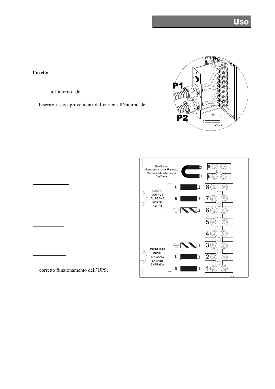 Versione monofase 8-10kva | Riello UPS Sentinel Dual (High Power) (3.3 - 10 kVA) User Manual | Page 29 / 196