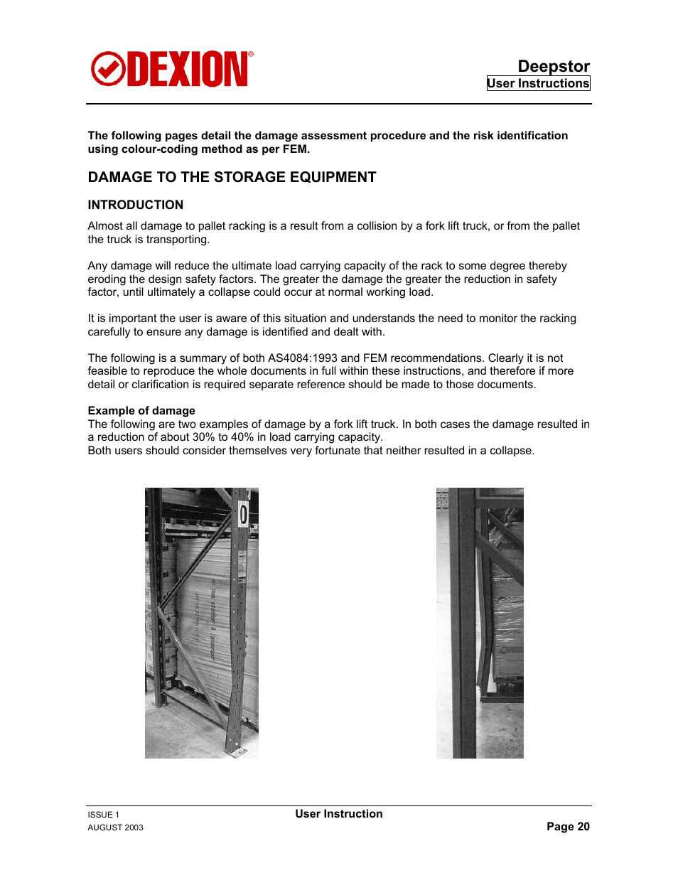 Damage to the storage equipment, Introduction, Deepstor | Dexion DEEPSTOR DEIVE-IN PALLET RACKING User Manual | Page 26 / 37