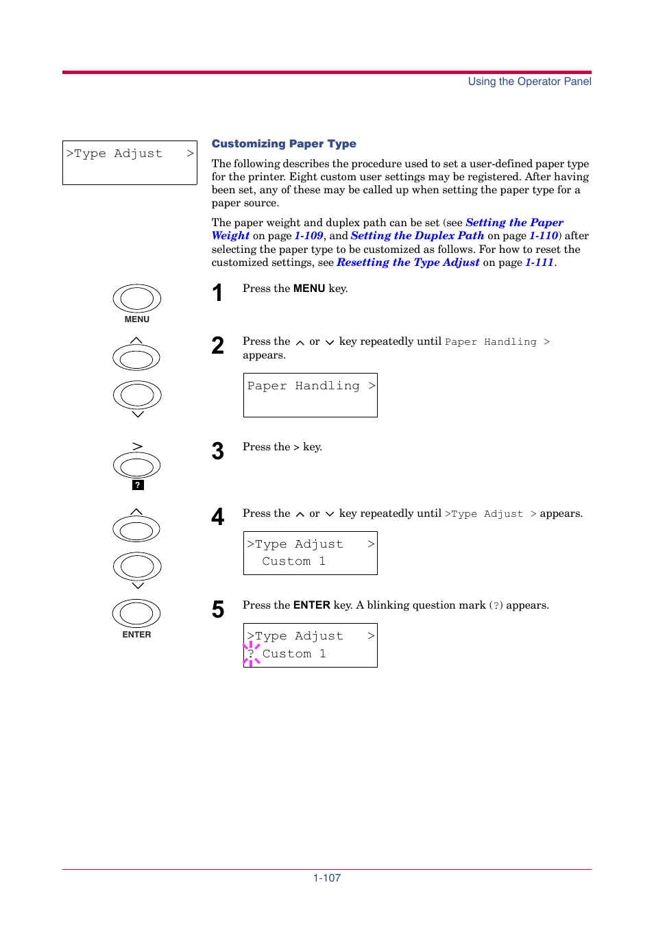 Customizing, Paper type, Type adjust | Custom 1 | TA Triumph-Adler LP 4024 User Manual | Page 122 / 282