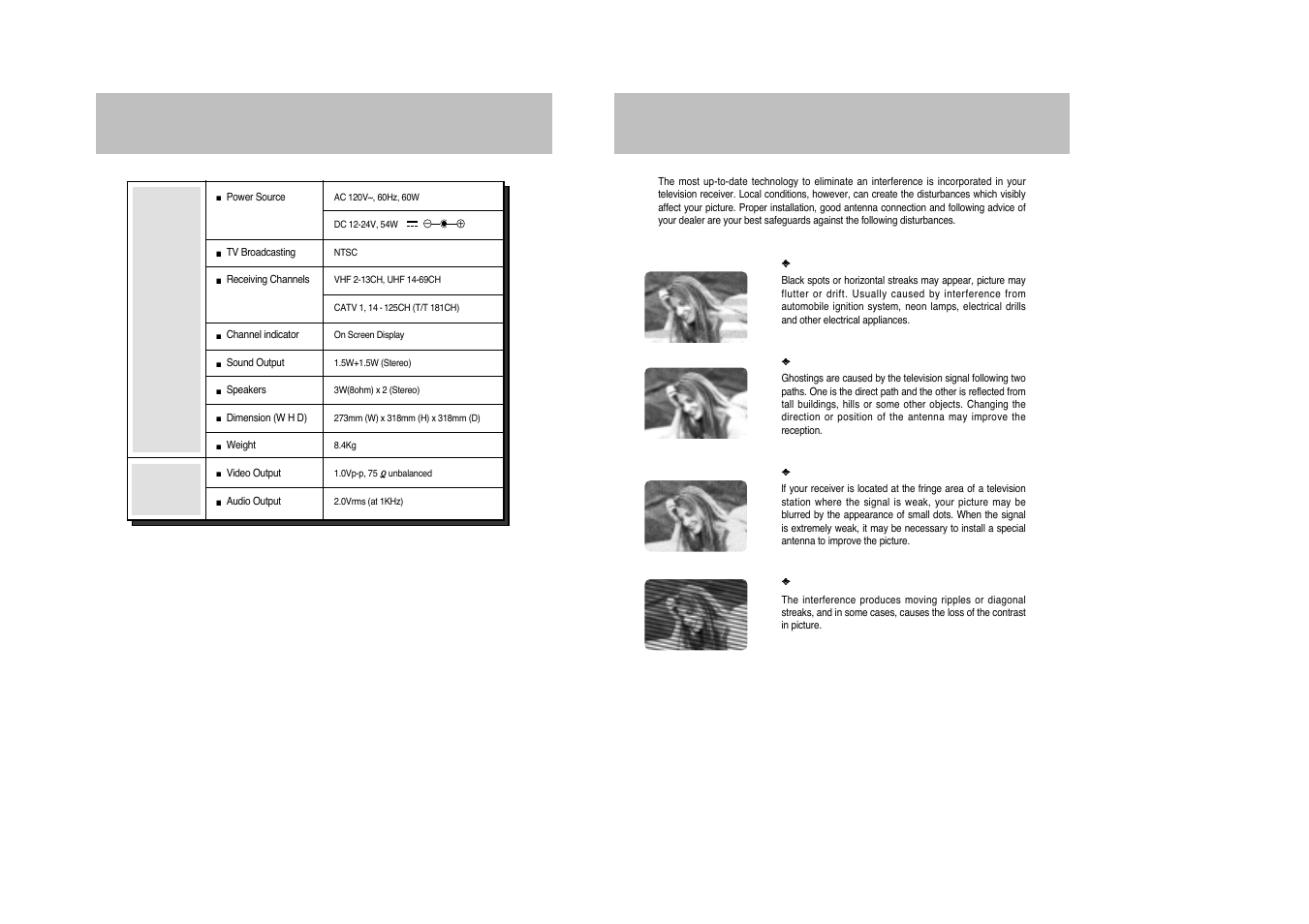 Interference causes, Specification | Daewoo DDQ-9H1SC User Manual | Page 31 / 33