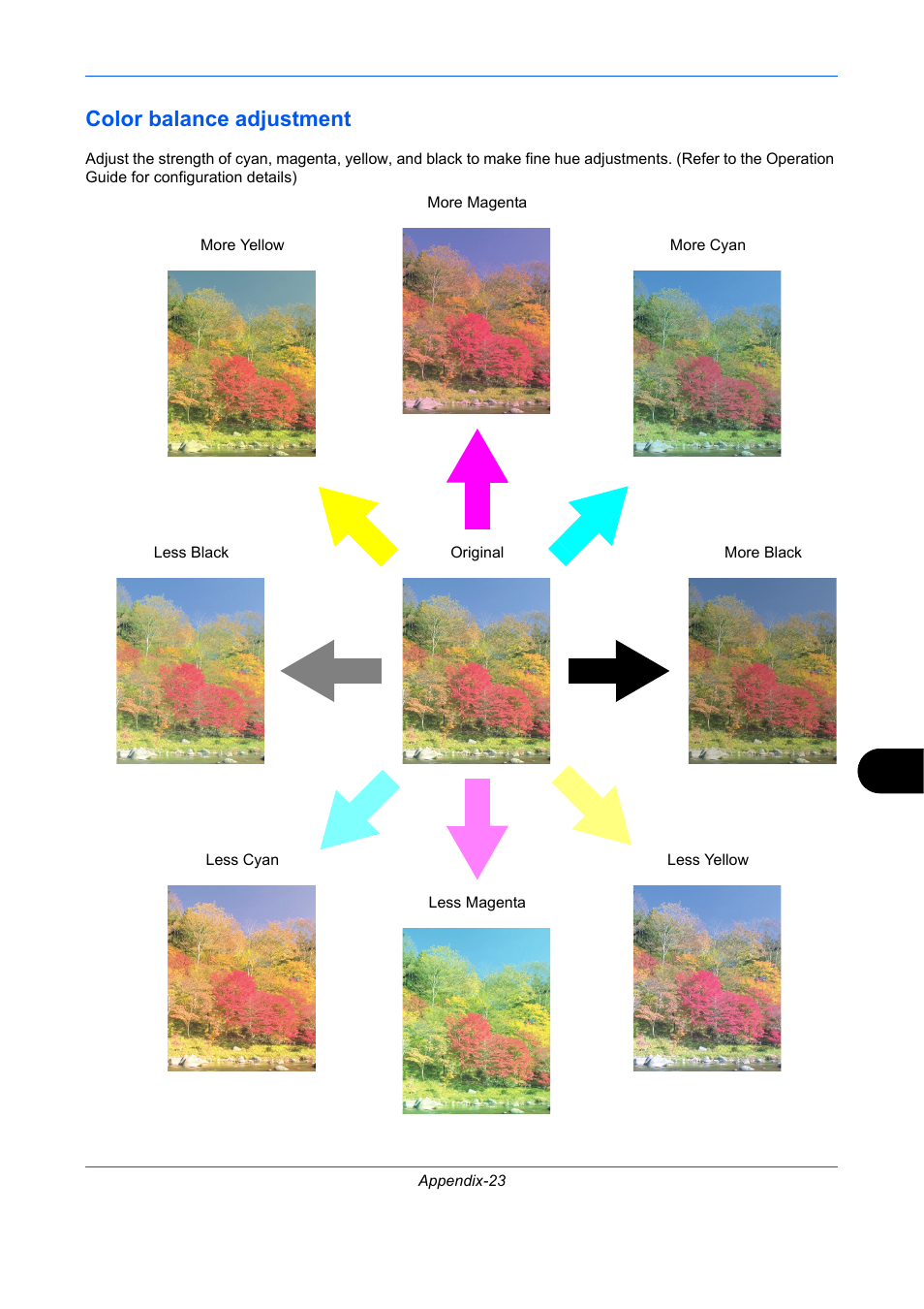 Color balance adjustment, Appendix- 23 | TA Triumph-Adler P-C2660 MFP User Manual | Page 561 / 578