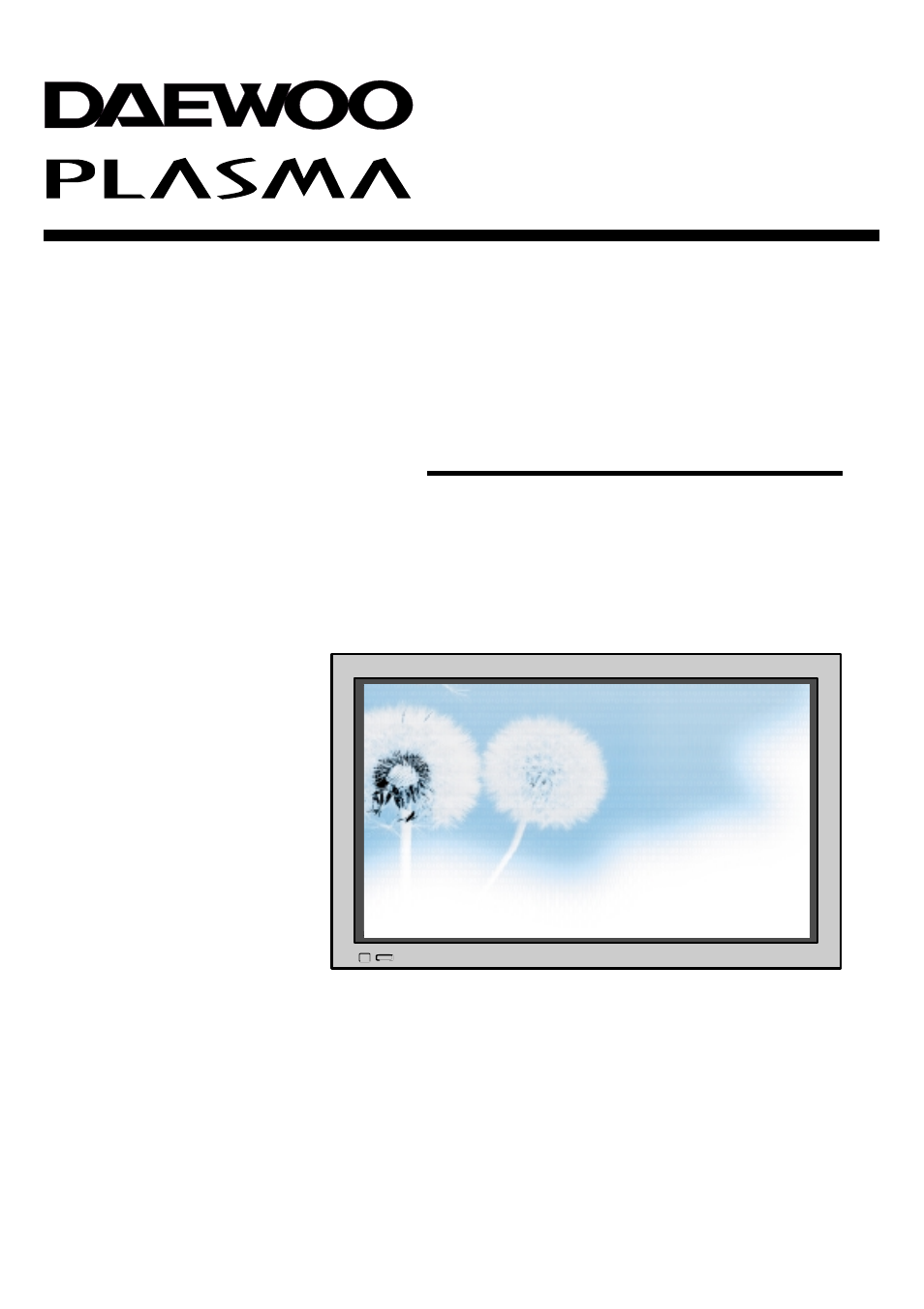 Daewoo DP - 42 GP User Manual | 35 pages