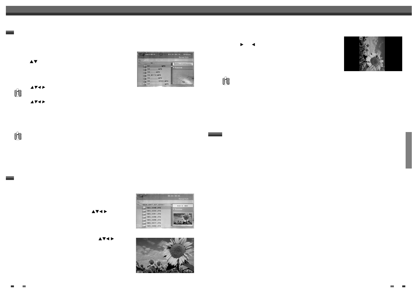 Other disc playback | Daewoo DF-4501P User Manual | Page 22 / 32